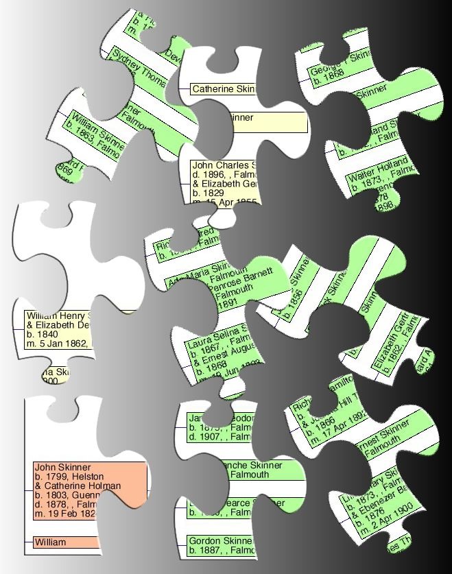 skinner puzzelbits site1