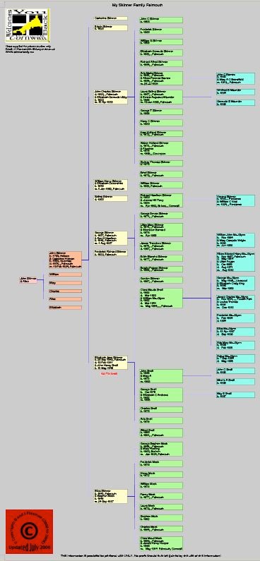 skinnerfamilychart1